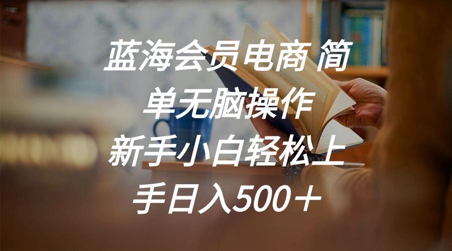 蓝海会员电商 简单无脑操作 新手小白轻松上手日入500+-智库云网创