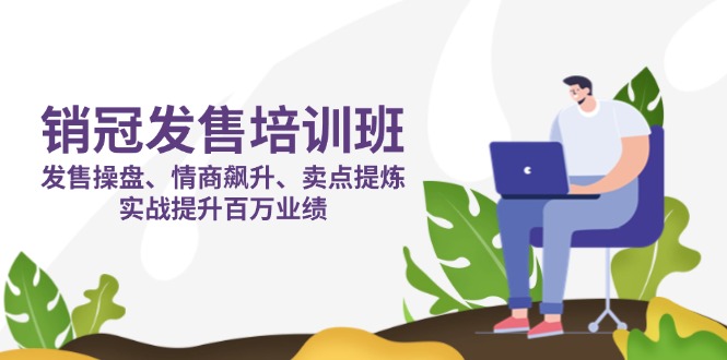 销冠 发售培训班:发售 操盘+情商 飙升+卖点 提炼,实战提升百万业绩-智库云网创
