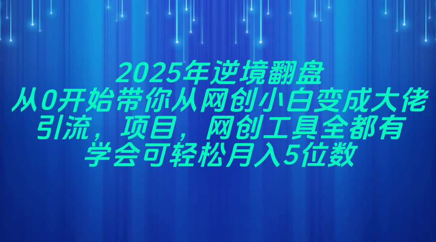 2025年逆境翻盘,从0开始带你从网创小白变成大佬,引流,项目,网创工...-智库云网创