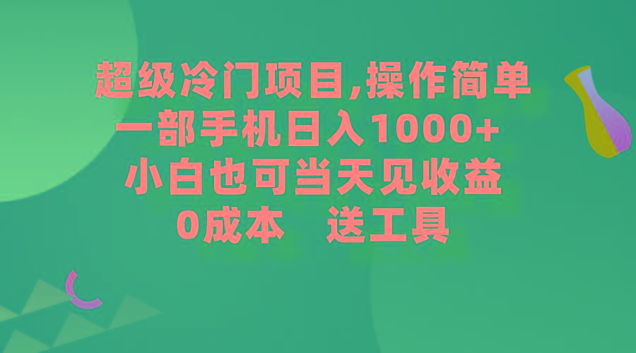 (9291期)超级冷门项目,操作简单,一部手机轻松日入1000+,小白也可当天看见收益-智库云网创