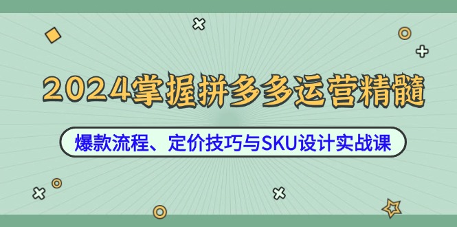 2024掌握拼多多运营精髓:爆款流程、定价技巧与SKU设计实战课-智库云网创