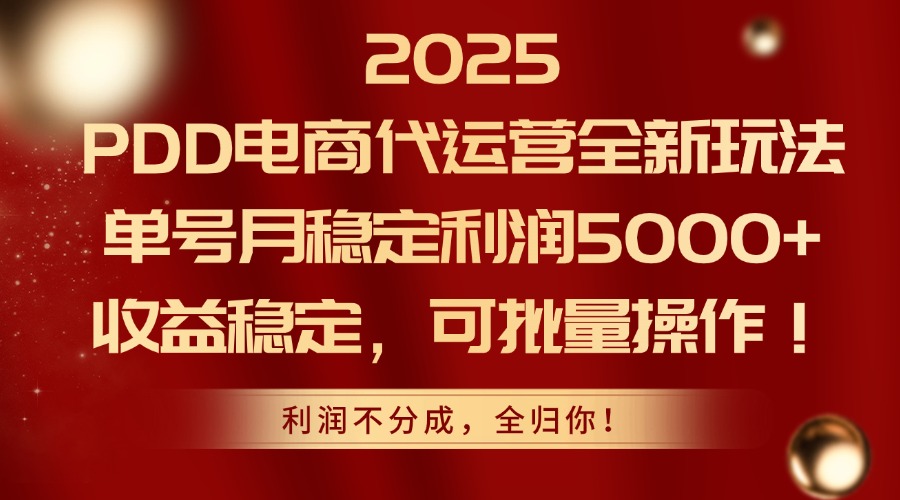 2025PDD电商代运营全新玩法,单号月稳定利润5000+,收益稳定,可批量操作-智库云网创