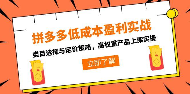 拼多多低成本盈利实战,类目选择与定价策略,高权重产品上架实操-智库云网创