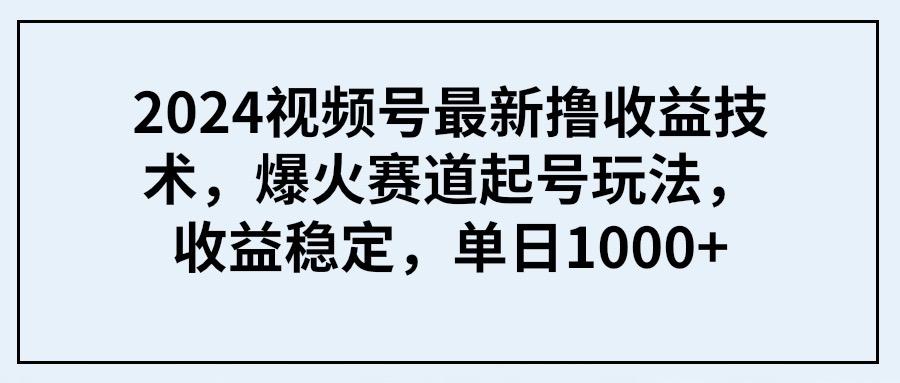 (9651期) 2024视频号最新撸收益技术,爆火赛道起号玩法,收益稳定,单日1000+-智库云网创