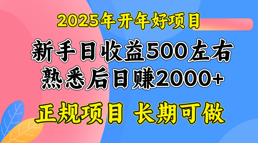 2025开年好项目,单号日收益2000左右-智库云网创