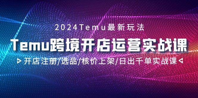 2024Temu跨境开店运营实战课,开店注册/选品/核价上架/日出千单实战课-智库云网创