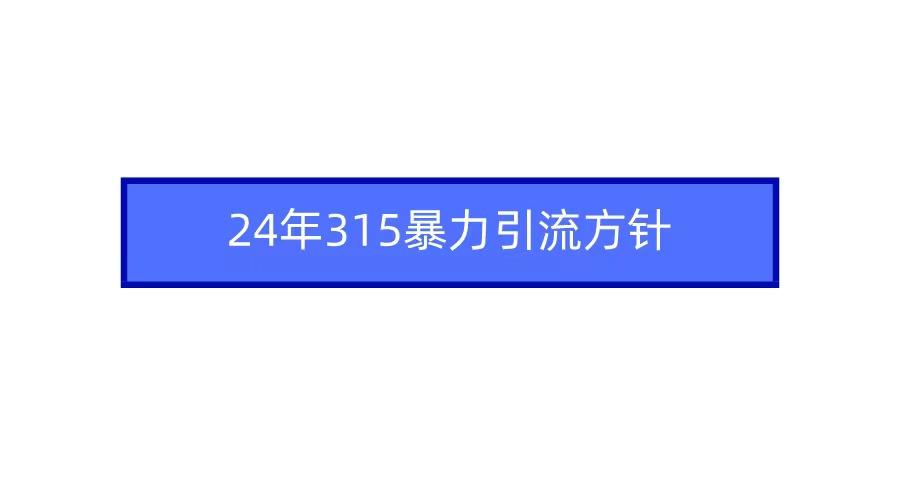(9398期)2024年315暴力引流方针-智库云网创