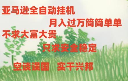 亚马逊全自动浏览挂机-智库云网创