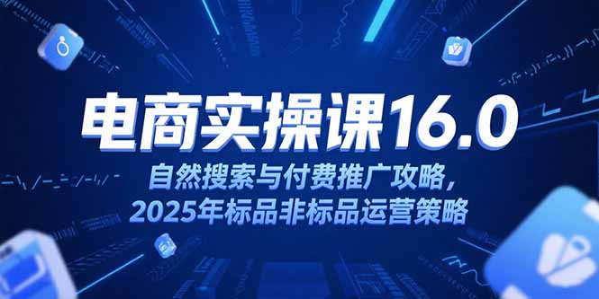淘宝电商运营课16.0,自然搜索与付费推广攻略,2025年标品非标品运营策略-智库云网创
