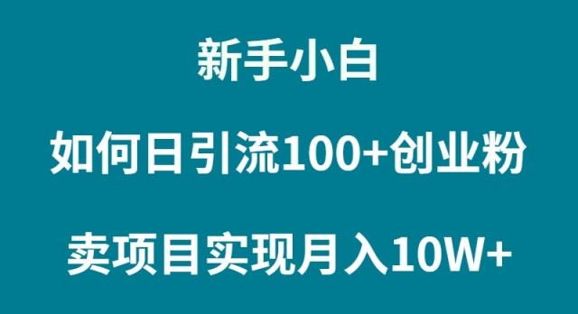 (9556期)新手小白如何通过卖项目实现月入10W+-智库云网创