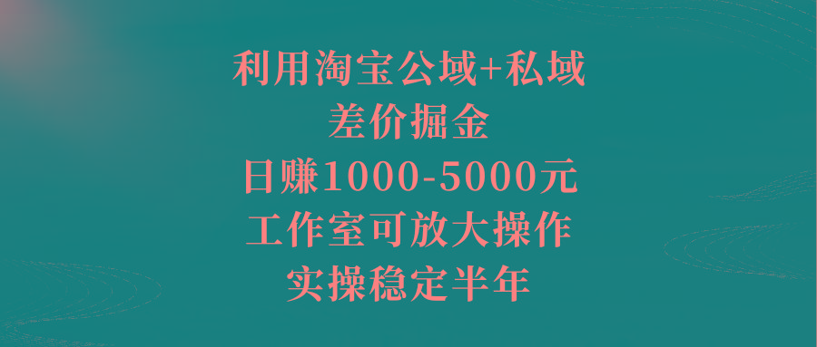 利用淘宝公域+私域差价掘金,日赚1000-5000元,工作室可放大操作,实操...-智库云网创
