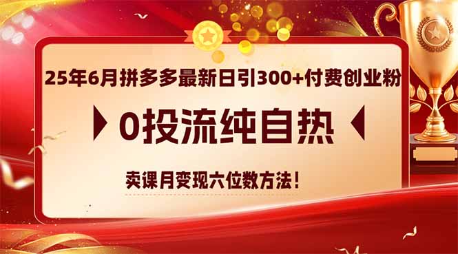 25年6月拼多多最新日引300+付费创业粉,0投流纯自热 卖课月变现六位数方法-智库云网创