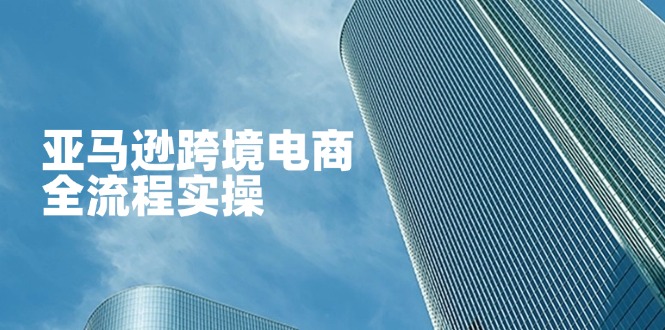 亚马逊跨境电商全流程实操,教你从零开始,掌握店铺运营与广告技巧-智库云网创