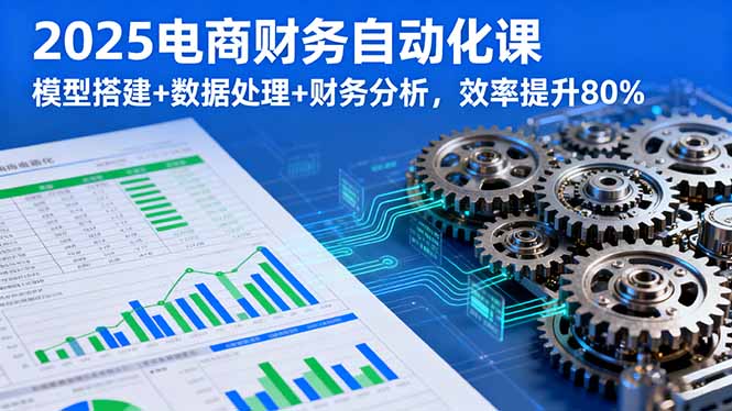 2025电商财务自动化课,模型搭建+数据处理+财务分析,效率提升80%-智库云网创