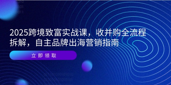 2025跨境致富实战课,收并购全流程拆解,自主品牌出海营销指南-智库云网创