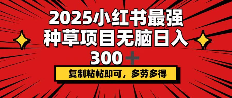 2025小红书最强种草项目,无脑日入300+,复制粘帖即可,多劳多得-智库云网创