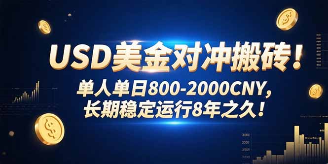 USD美金对冲搬砖!单人单日800-2000CNY,长期稳定运行8年之久!-智库云网创