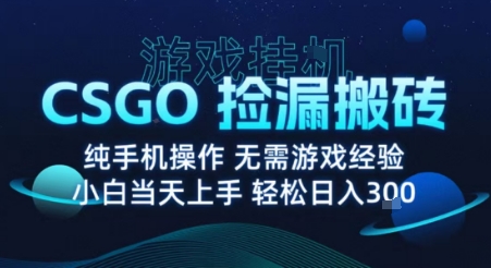 8月最新游戏搬砖,CSGO纯挂G,不需要玩游戏,实现真挂G,月入1W+【揭秘】-智库云网创