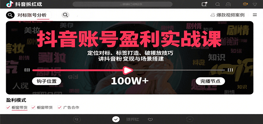 抖音账号盈利实战课,定位对标、标签打造、破播放技巧,讲涨粉变现与场景搭建-智库云网创