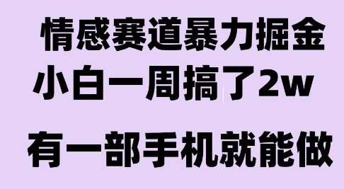 情感暴力掘金项目,新人操作一周挣了2W,长期稳定小白可做【揭秘】-智库云网创