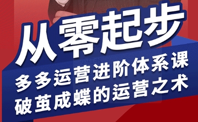 拼多多运营进阶系统课,从零起步,多多运营进阶体系课,破茧成蝶的运营之术(更新9月)-智库云网创