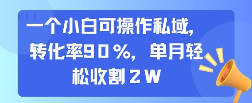 一个小白可操作私域,转化率90%,单月轻松收割2W-智库云网创