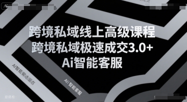 跨境私域线上高级课程,跨境私域极速成交3.0+Ai智能客服-智库云网创