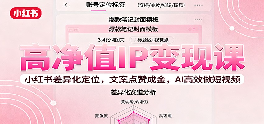 高净值IP变现课:小红书差异化定位,文案点赞成金, AI高效做短视频-智库云网创