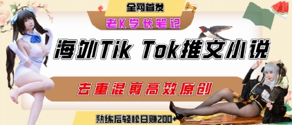 海外tiktok小说推文暴力项目,高停留率,高转化率,上手后一天搞顿饭钱不是问题-智库云网创