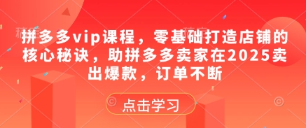 拼多多vip课程,零基础打造店铺的核心秘诀,助拼多多卖家在2025卖出爆款,订单不断-智库云网创