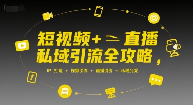 短视频+直播私域引流全攻略,IP打造 +视频引流 +直播引流 +私域沉淀-智库云网创