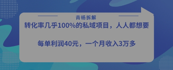 转化率最高的私域项目,每单利润40-50米,月入过1w-智库云网创