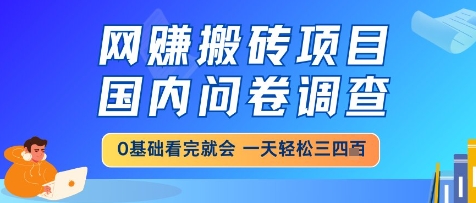 网创搬砖项目,国内问卷调查,小白轻松上手,一天三四张的也不难,干就完了【揭秘】-智库云网创