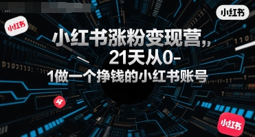 小红书涨粉变现营,21天从0-1做一个挣钱的小红书账号-智库云网创