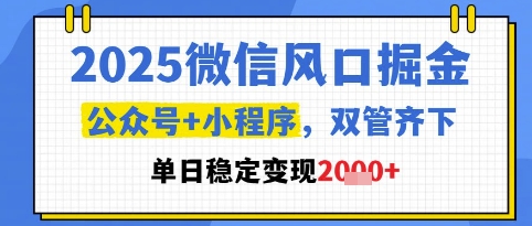 2025微信风口掘金,公众号+小程序双管齐下,单日稳定变现1k+【揭秘】-智库云网创