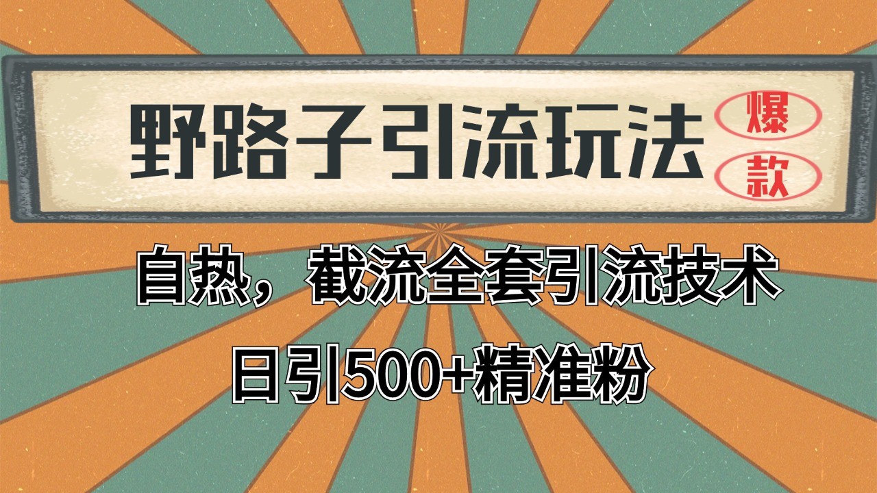 2024首发野路子引流玩法截流自热全平台打法,全自动引流【日引2000+精准客户】-智库云网创