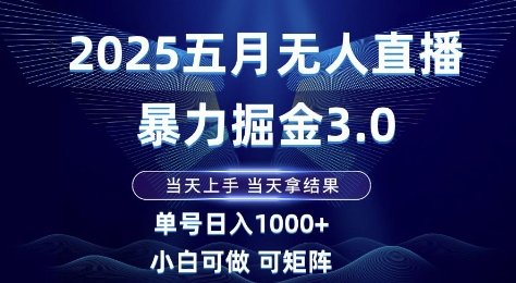 2025五月无人直播暴力掘金3.0,当天上手,当天拿结果,单号日入1k+小白可做可矩阵【揭秘】-智库云网创