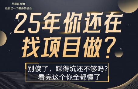 25年,你还在疯狂的找项目吗?别傻了,看完这个你都懂了【揭秘】-智库云网创