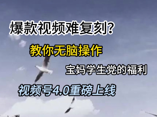视频号4.0重磅上线,爆款视频难复刻?教你无脑操作宝妈学生党的福利【揭秘】-智库云网创
