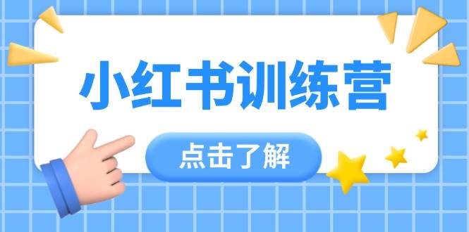 小红书训练营,助小白入门,掌握技巧变达人,课程实操又全面(12节课)-智库云网创