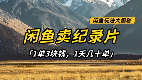 闲鱼卖纪录片1单3块钱,1天几十单,项目稳定有潜力-智库云网创
