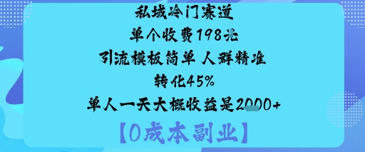 私域冷门赛道:单个收费198米引流模板简单人群精准转化45%单人一天大概收益是1k+-智库云网创