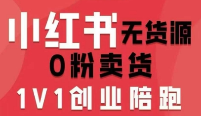 小红书无货源0粉电商课,开店准备、选品策略、笔记撰写、视频剪辑、数据分析、账号打造、资料文档-智库云网创