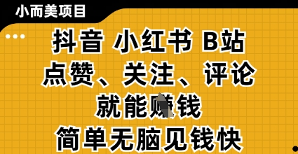 小而美的项目,抖音小红书B站视频点赞、关注、评论就能挣钱,简单无脑立见收益,妥妥的零撸项目【揭秘】-智库云网创