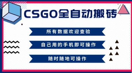 CSGO全自动搬砖,年底钱回家好项目,当天可拿到结果,新手小白轻松月入1W+【揭秘】-智库云网创