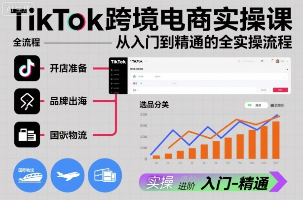 TikTok跨境电商实操课,从入门到精通的全实操流程-智库云网创