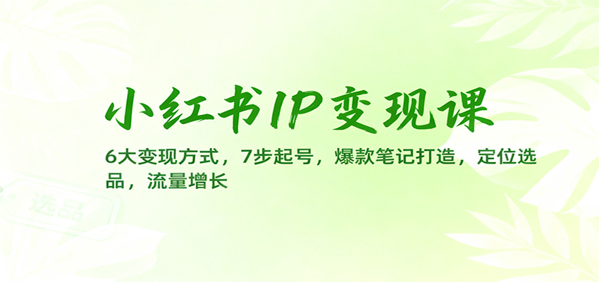 小红书IP变现课:6大变现方式,7步起号,爆款笔记打造,定位选品,流量增长-智库云网创