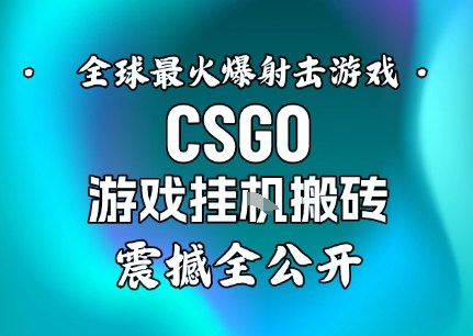 【年底大揭秘】基于全球最火爆的射击CSGO游戏挂G搬砖,日入5张+,震撼公开-智库云网创