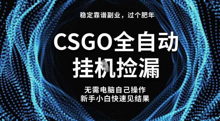 【稳定副业】全球最热门游戏CSGO全自动捡漏,最新玩法,新手小白日入5张+【揭秘】-智库云网创