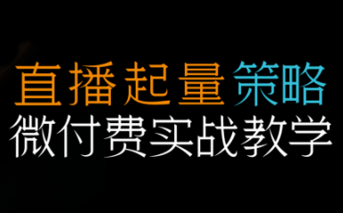 半野老师·直播带货起量与微付费必学课视频号-智库云网创
